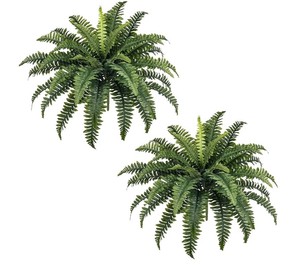 FOREST PRINCE 35 Artificial Boston Ferns 2-Pack - Brand New