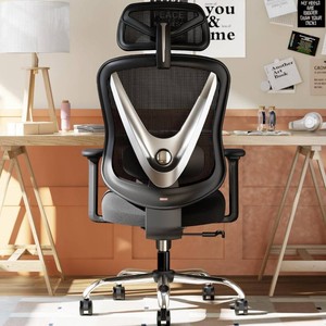 $170 Ergonomic Mesh Office Chair - 3D Adjustable Lumbar Support & 3D Armrests, V-Shaped Back, Adjustable Desk Chair for Office & Home, Black