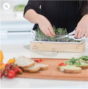 Ceramic Grow Tray