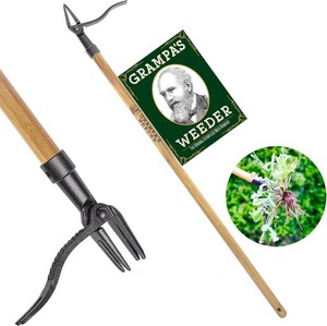 Grampas Weeder Original Stand Up Weed Puller Tool with Bamboo Long Handle  4-Claw Steel Head   Weeding Tool   Weed Remover Tool   Pulls Dandelions, Crabgrass & Taproots   No Bending   Saves Your Back