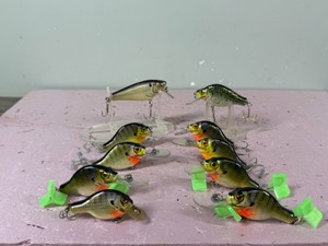 10 - Bagley Fishing Lures Shaped Like Sunfish, Crappie and More