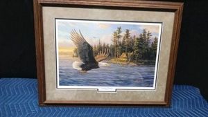 Framed signed Eagle in flight print titled Summer Domain by Mary Pettis