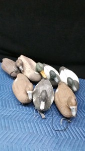 7 duck decoys