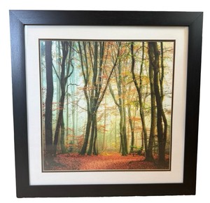 B2-Autumn Forest Landscape Art