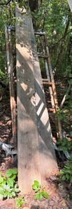 Rolling Scaffolding Frame With Wood Plank - No Ladder