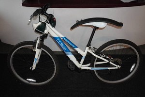 LL Bean Ridge Runner 24 Mountain Bike