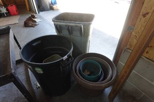 Plant Pots and Garbage Cans