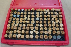 Pin Gage Set - .626 - .750