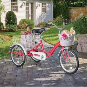 $449 Adult Tricycle with Two Baskets