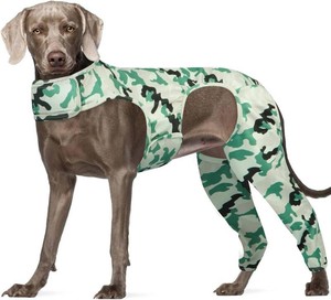 $31 Dog Surgery Recovery Suit for Sprain ACL CCL Arthritis Joint Arthritis  Hind Leg Incisions, Long Time Comfort, Fast & Easy Dressing, Secure Comfortable Fit, Cone Alternative, Daily Wear Pants2XL