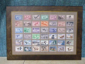 Framed Collection of Migratory Bird Hunting Stamps