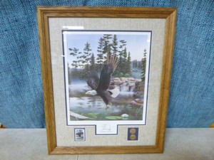 Boundary Waters Framed Print by Leo Stans