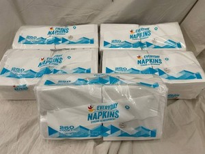 Everyday 1-Ply Napkins 250 Count 12 in X 12 in (Lot of 5)