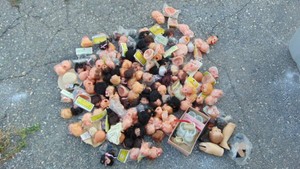 Large Lot of Doll Parts, Most are Brand New.