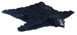 LR - Black Bear Taxidermy Rug - Full Open-Mouth Mount