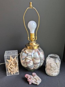 LR - Seashell Decor Mixed Lot - Shell-Filled Table Lamp 20in H