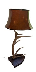 DR - Elk Antler Floor Lamp