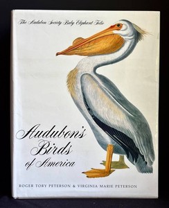 LR - Bird Book - Audubons Birds of America