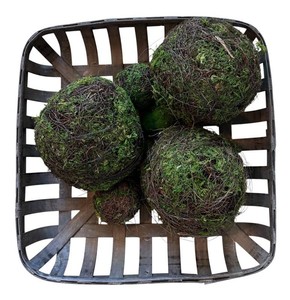 LR - Preserved Moss Balls & Basket - Mixed Decor