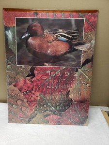 Ducks Unlimited 1992 Calendar with Duck Photography