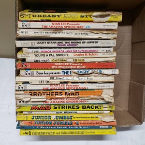 Various Paperback Books Including Stan Lees The Amazing Spider-Man and Charles M. Schulzs Youre a Pal, Snoopy