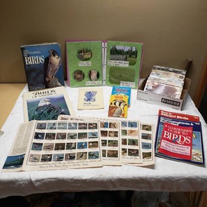 Collection of Bird Watching Books and Magazines