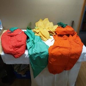 Halloween Vegetable and Flower Costumes