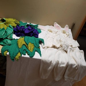 Veggie Costumes