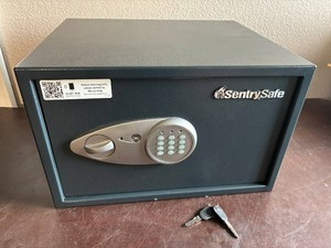 SentrySafe X125
