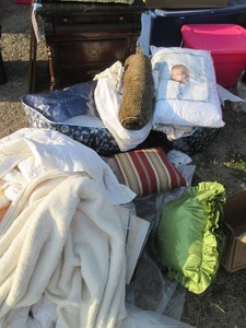 Reusable storage bags containing as...