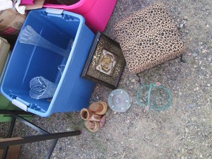 Cheetah print upholstered metal fra...