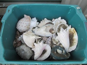 Open top storage tote containing a ...