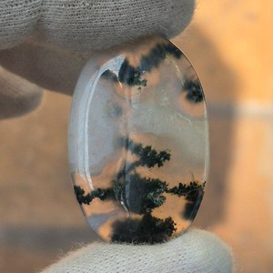 45.91 Carat Natural Dendritic Agate Cabochon Retail $1,377