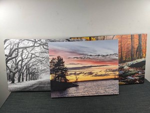 Seasonal Landscape Canvas Wrap Wall Art, 3 Total