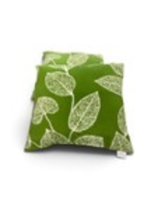 Two Decorative Pillows