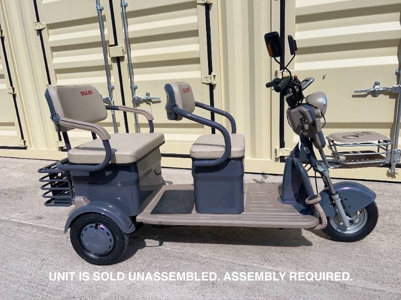 2026 SDLANCH Electric Tricycle Mini Golf Cart (MGC40) - Purple (optional assembly service available)