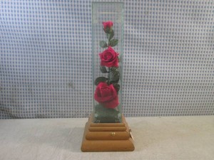 (FS) Vintage Music Box Glass Incased Roses - Works - 13 14 Tall