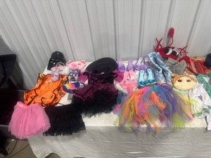 Childrens Costume & Dress-Up Lot