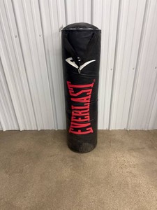 Everlast Punching Bag