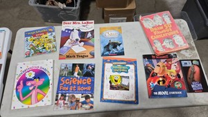 Assorted Childrens Book Lot