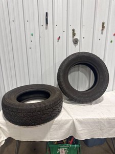 Bridgestone Dueler HT Tires