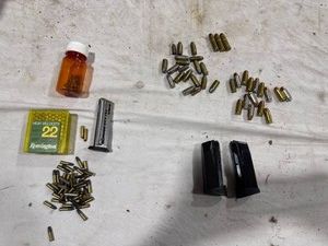Firearm Magazines & Ammunition Lot