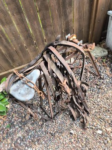 Old leather horse tack and harness straps on metal stand with seat
