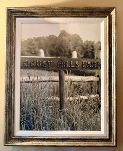 Framed Rural Landscape Photograph - Locust Mills Farm