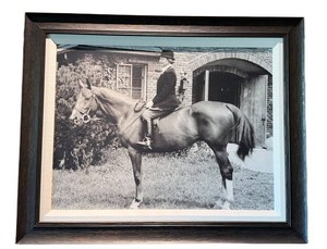 Framed Equestrian Photograph - Black & White Horse Rider