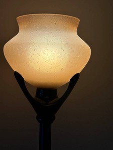 Floor Lamp - Textured Glass Shade Black Metal 70in
