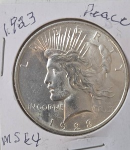 1923 Silver Peace Dollar - MS64