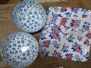 Pasta Bowls and Melamine Trays