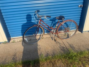Schwin Suburban