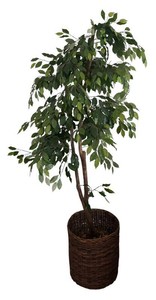 LR - Artificial Ficus Tree in Basket
